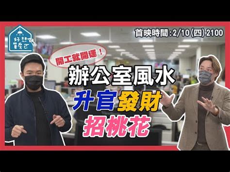 桌上盆栽升官|「青鳥辦桌」為明年立委罷免暖身？黃揚明：國民黨該警惕「這件。